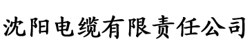 香蕉视频播放器在线电缆厂logo